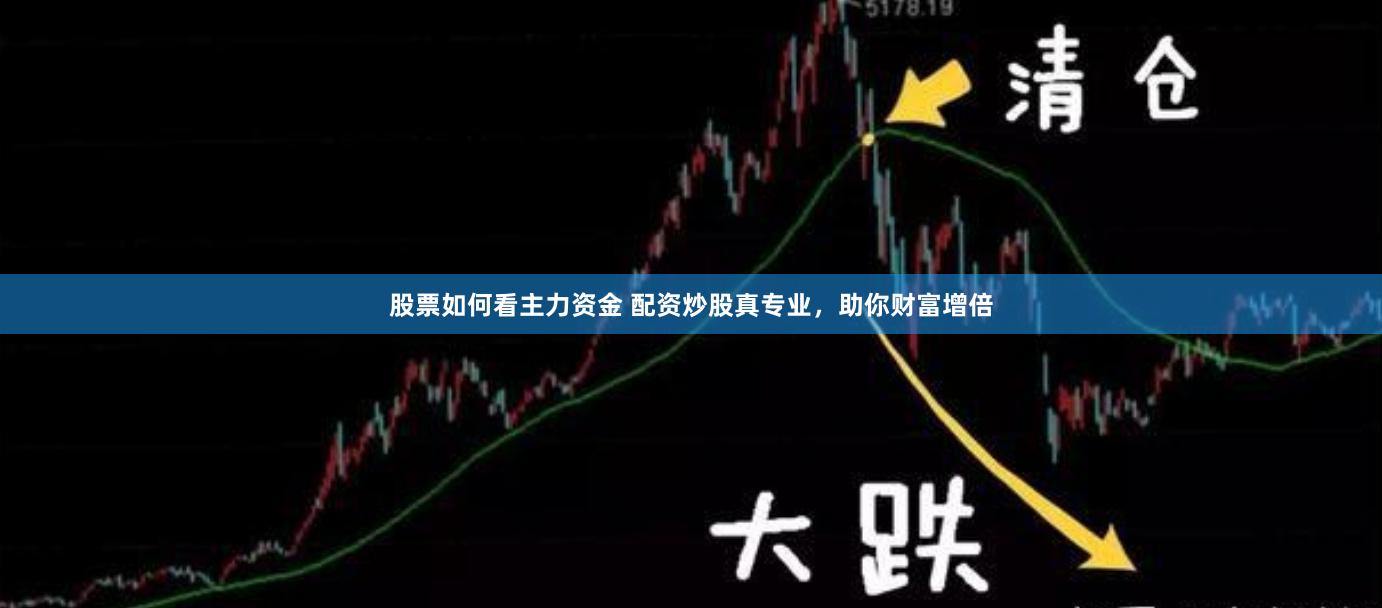 股票如何看主力资金 配资炒股真专业，助你财富增倍