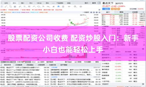 股票配资公司收费 配资炒股入门：新手小白也能轻松上手