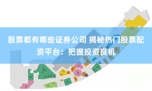 股票都有哪些证券公司 揭秘热门股票配资平台:把握投资良机