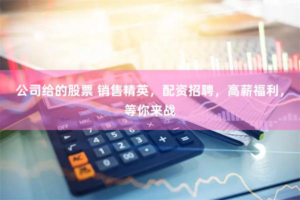 公司给的股票 销售精英，配资招聘，高薪福利，等你来战