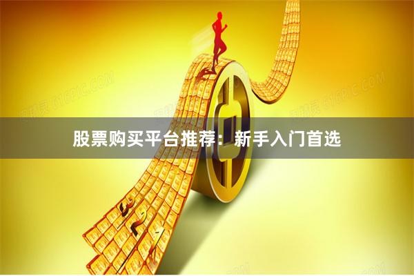 股票购买平台推荐：新手入门首选